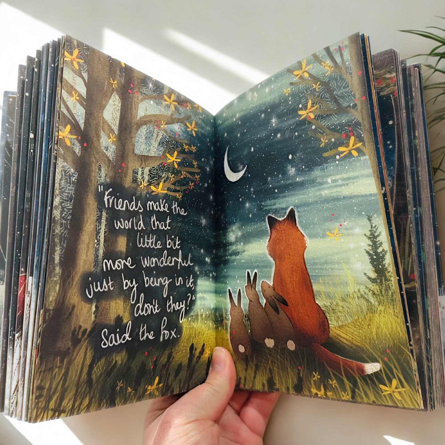 SIGNED - Seasons of Comfort and Hope Hardback Book