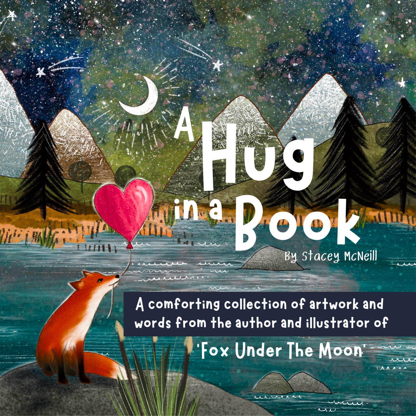 Hug In A Book Picture Book