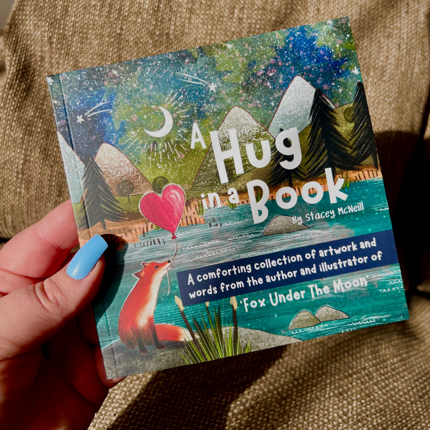 Hug In A Book Picture Book