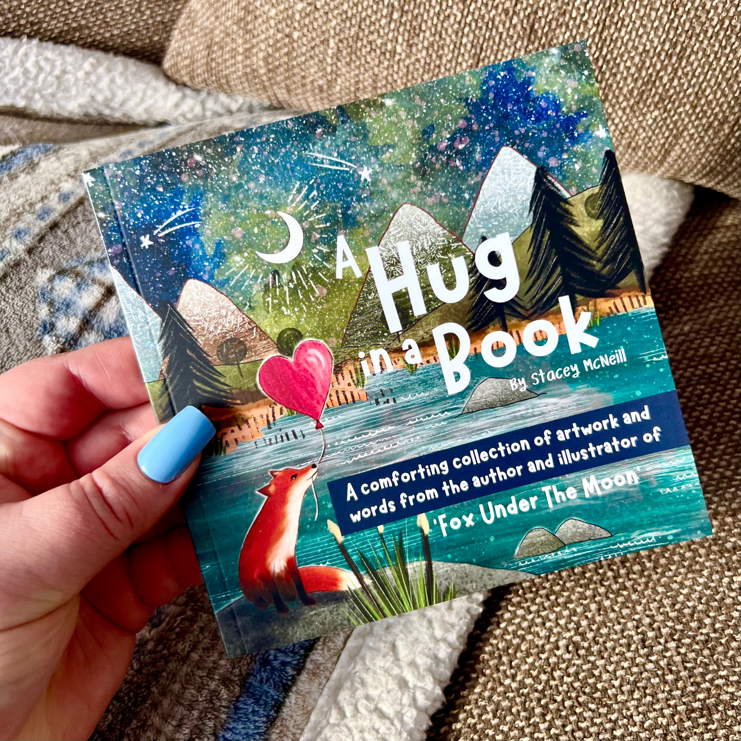 Hug In A Book Picture Book