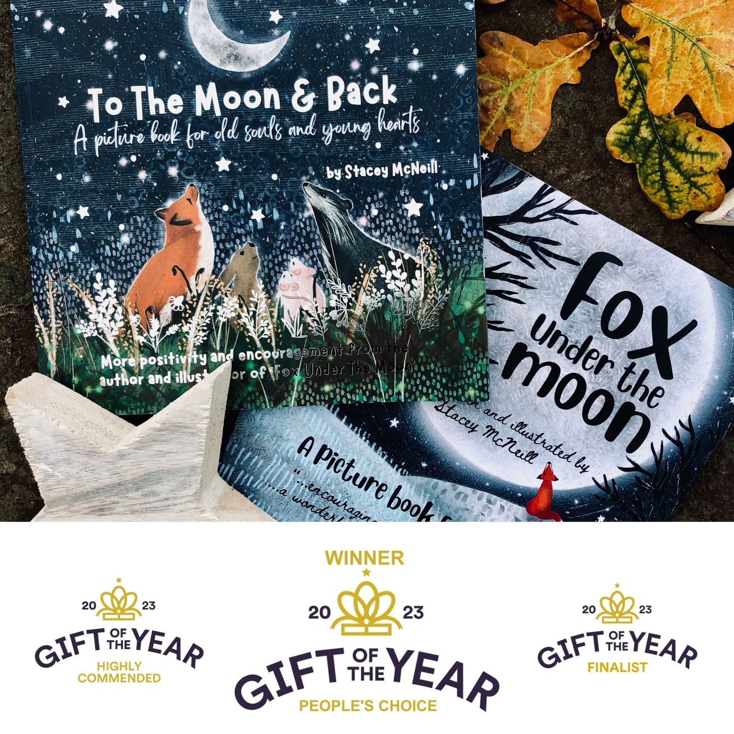 Fox Under The Moon Picture Book