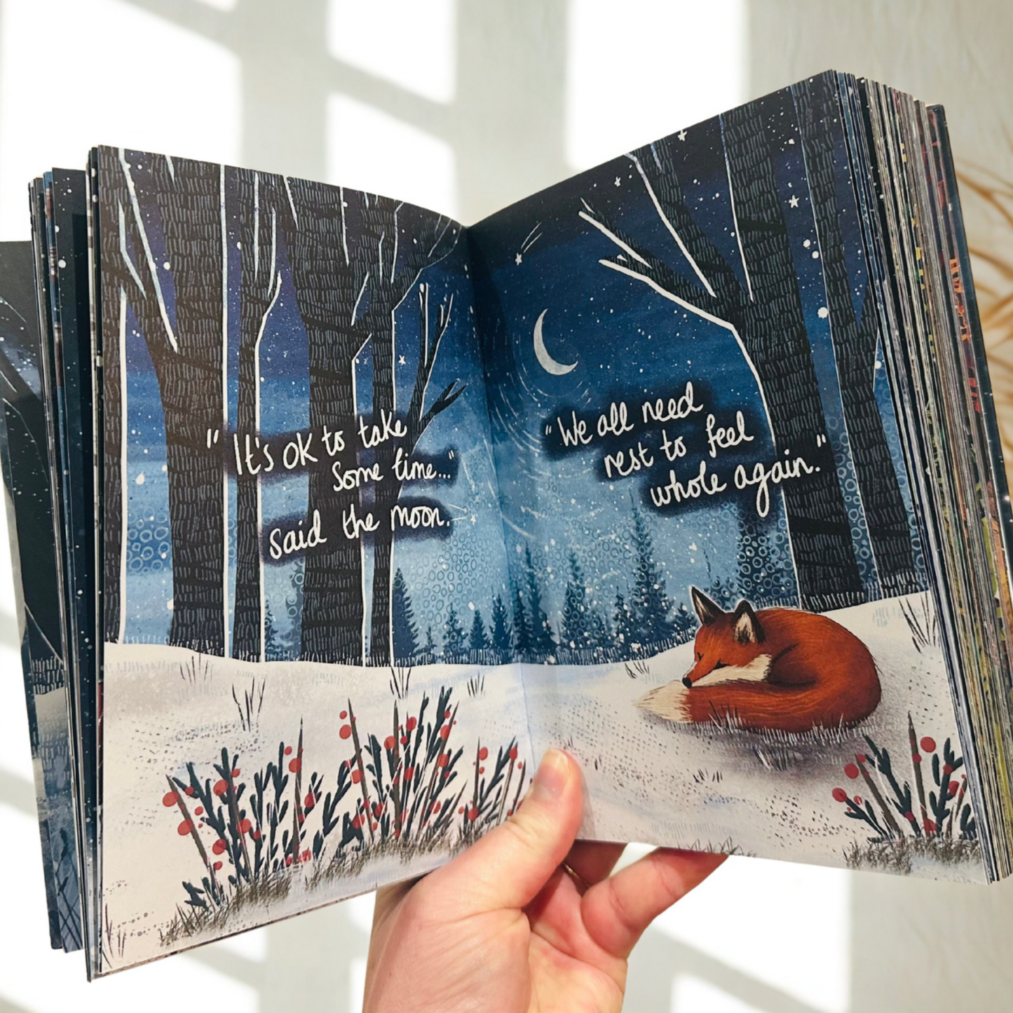 SIGNED - Seasons of Comfort and Hope Hardback Book