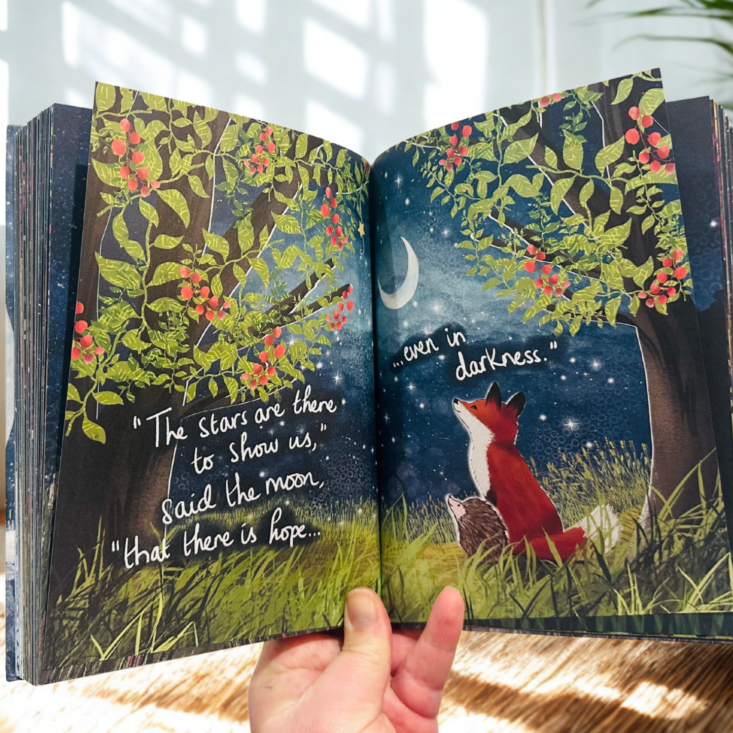 SIGNED - Seasons of Comfort and Hope Hardback Book