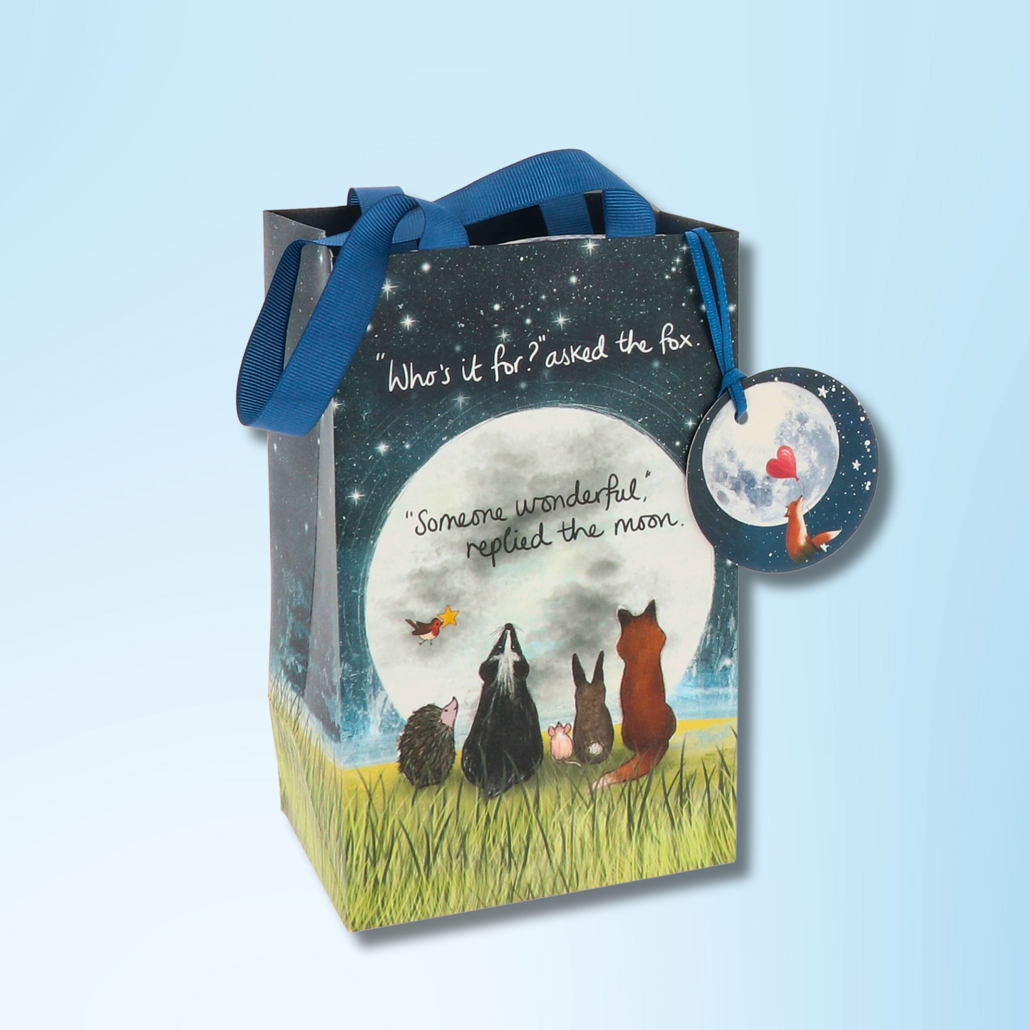 Small Gift Bag - Someone Wonderful