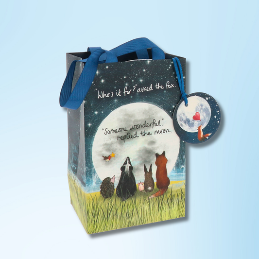 Small Gift Bag - Someone Wonderful