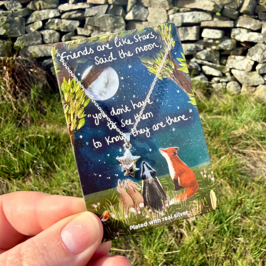 Silver Plated Necklace - Friends Are Like Stars