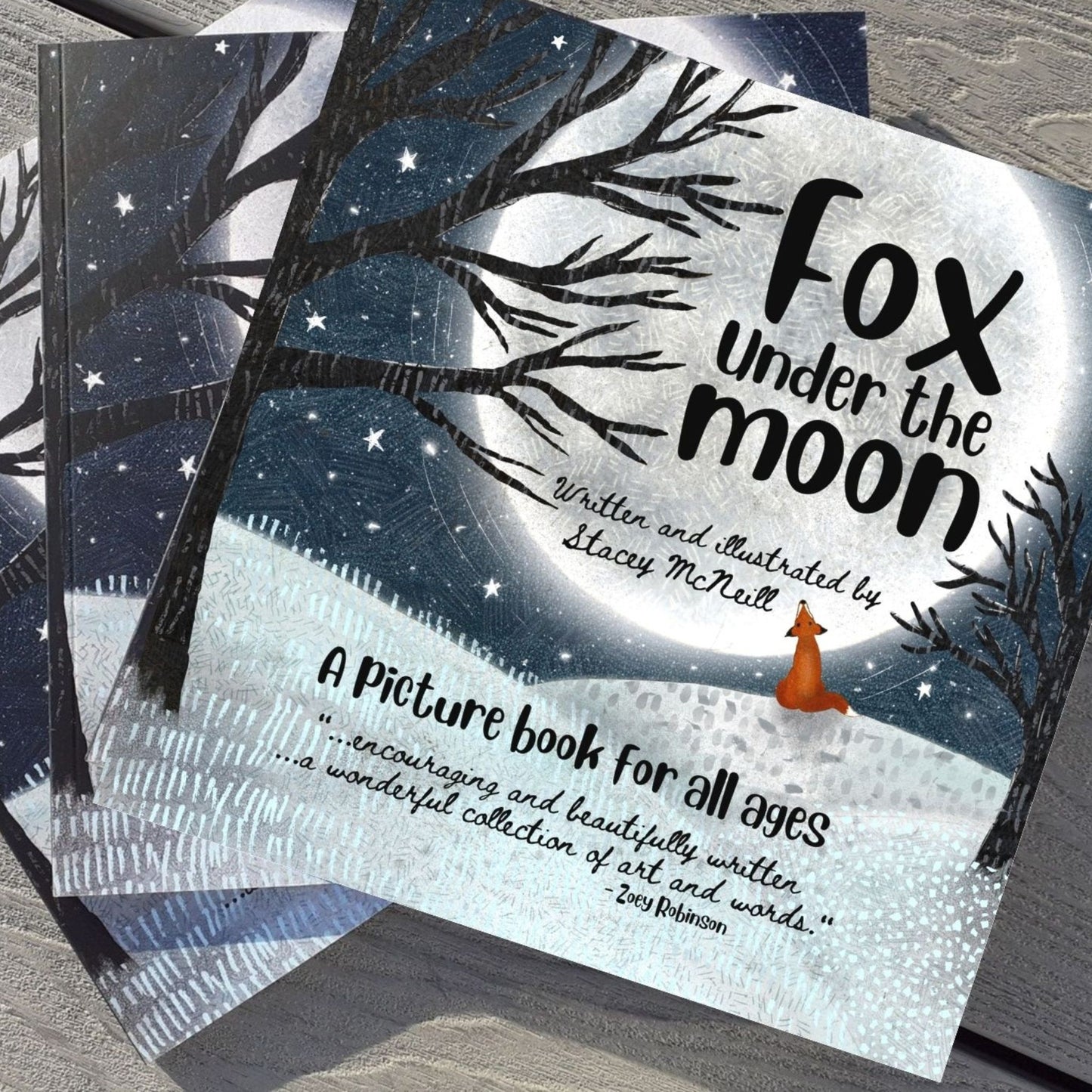 Fox Under The Moon Picture Book