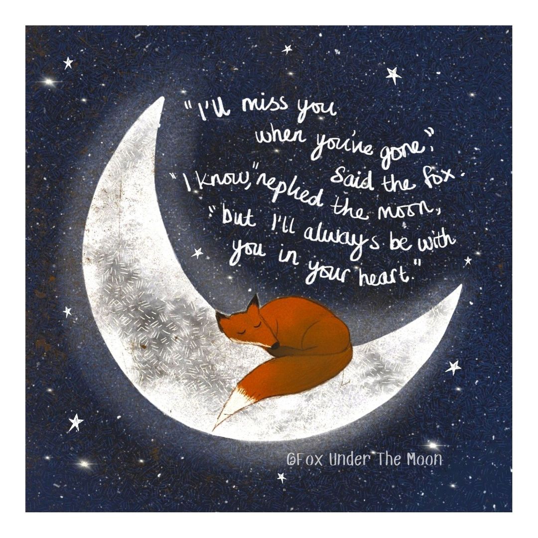 Fox Under The Moon Picture Book