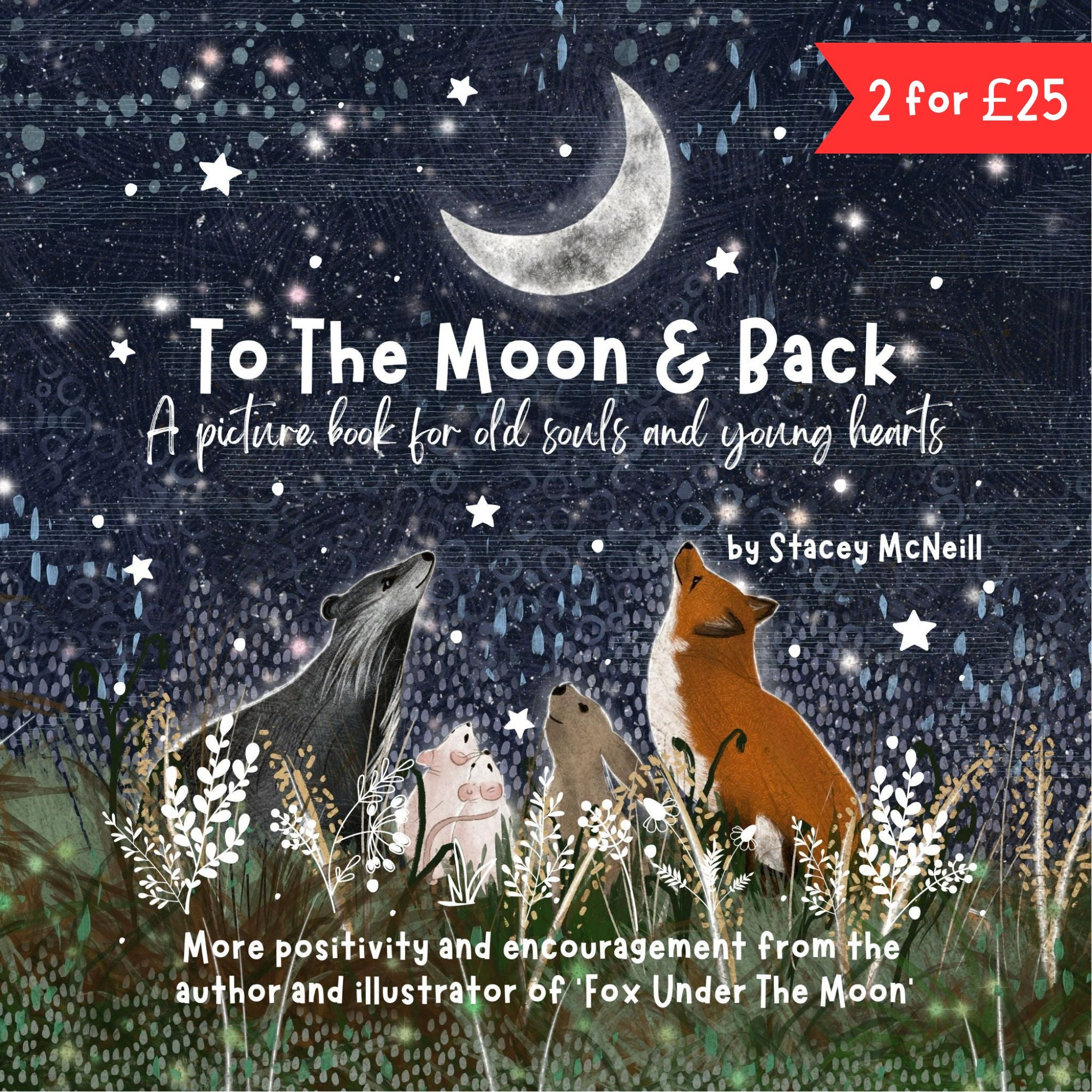 To The Moon & Back Picture Book – Fox Under The Moon